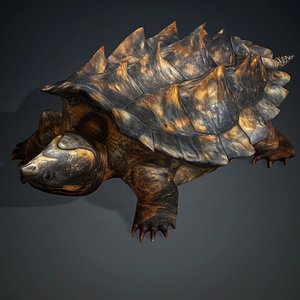 3D Alligator Turtle-V1a model