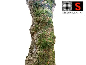 jungle tree 8k 3D model