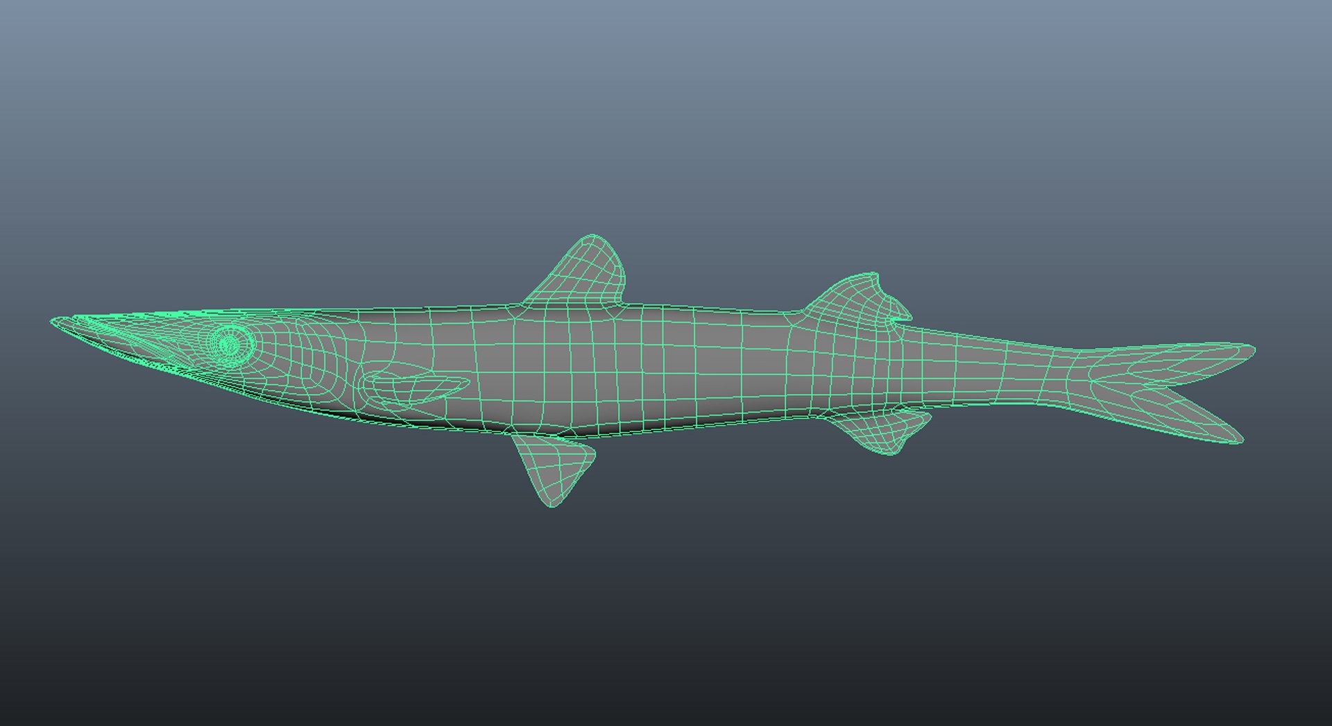 Saltwater Fish Collection 11 Model - TurboSquid 1834047