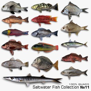 Saltwater Fish Collection 11