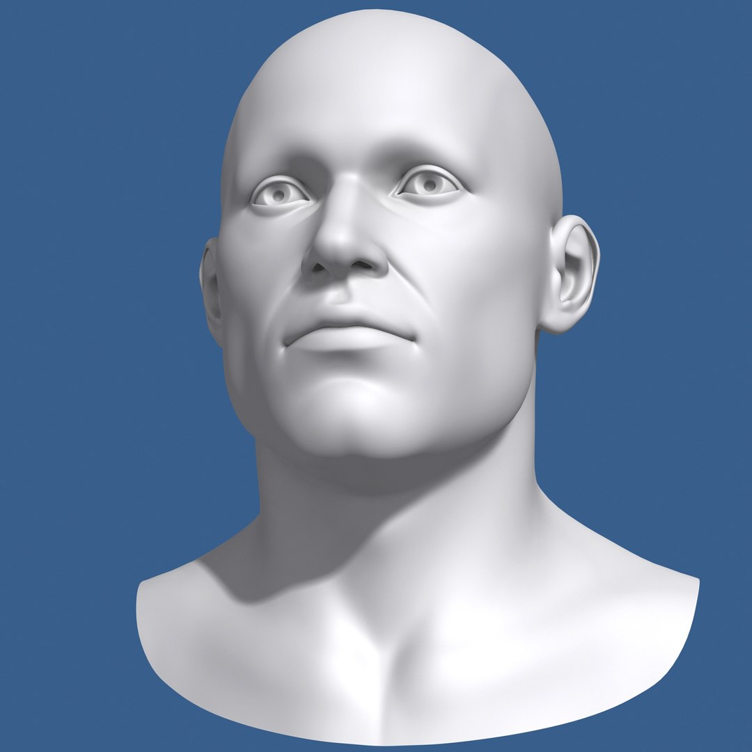 3d model polygonal male head