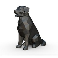 Bovaro del bernese