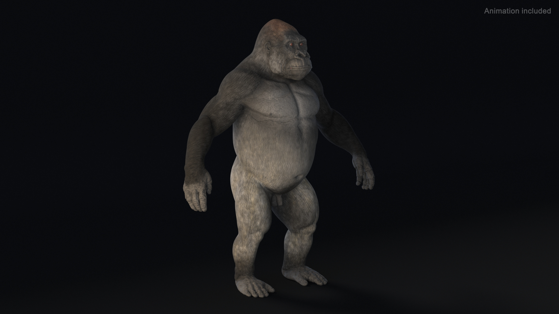 Gorilla Animated Rigged Model - TurboSquid 2293304