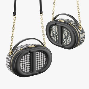 DIOR Signature Oval Camera Bags model
