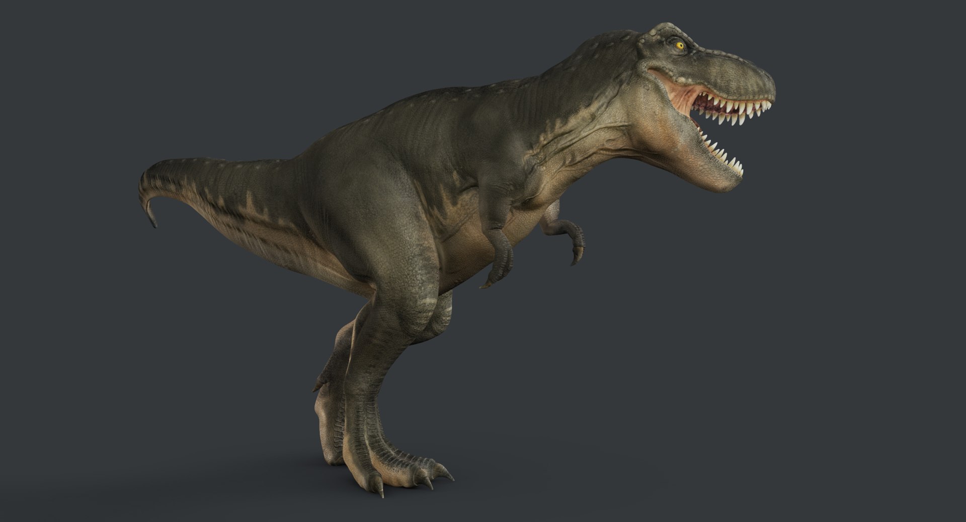 Tyrannosaurus Rex Rigged Trex 3d Ma