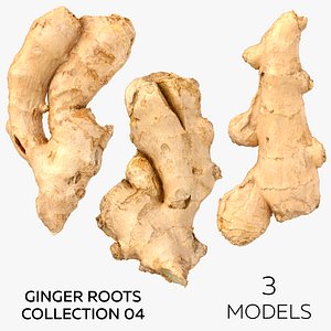 3D Ginger Roots Collection 04 - 3 models