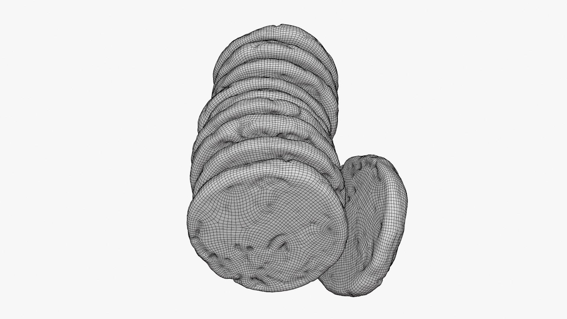3D model Chocolate Chip Cookie Stack https://p.turbosquid.com/ts-thumb/J3/tdaNuS/20/chocolatechipcookie_d000/png/1774505248/1920x1080/fit_q87/df03c346154d9f336bce8fb06db4af9799824456/chocolatechipcookie_d000.jpg
