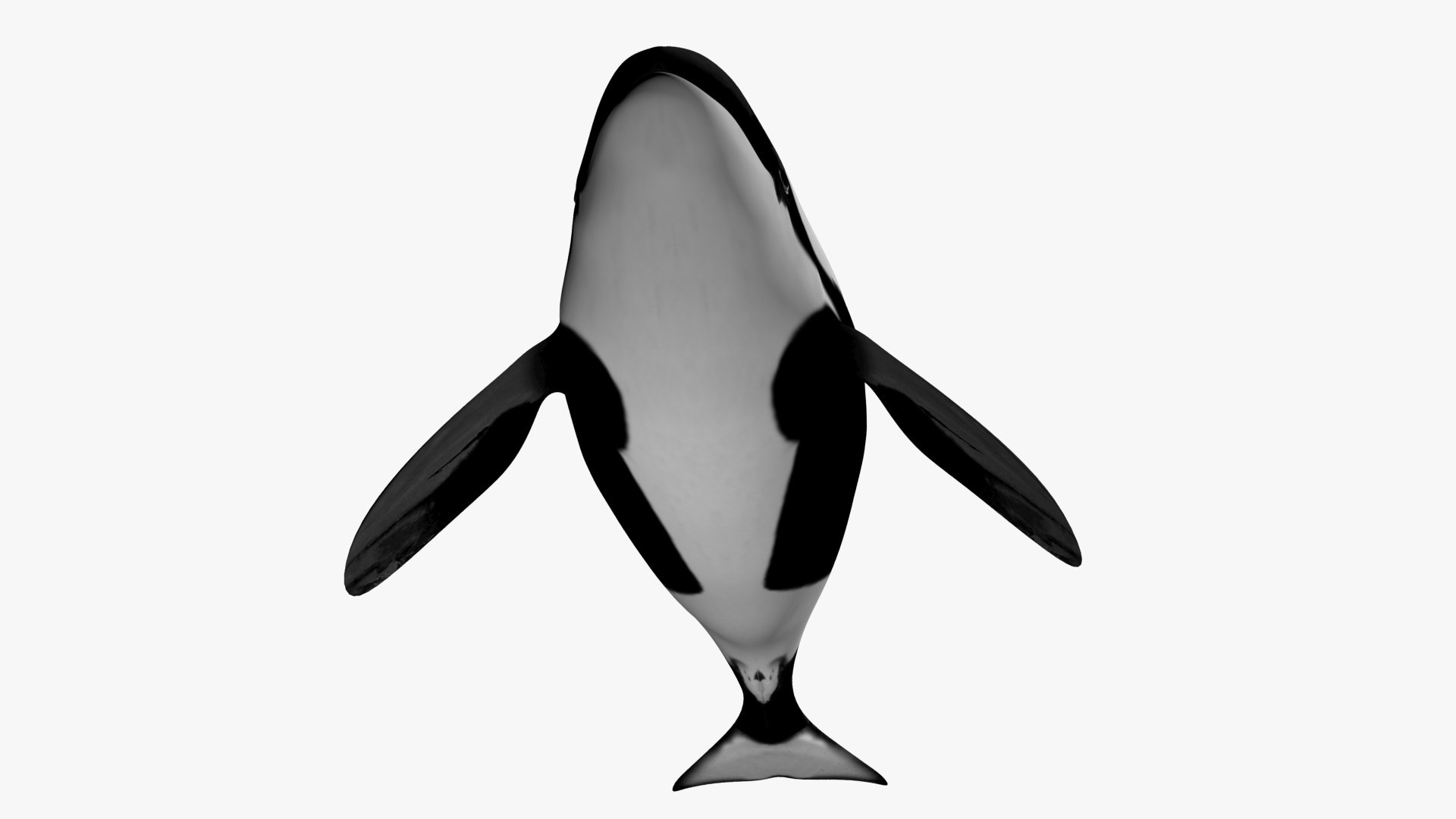 3D model Killer whale https://p.turbosquid.com/ts-thumb/J3/wmCIgG/eW/8/jpg/1634296762/1920x1080/fit_q87/9d4bf8e6908bf30b955b88ac217d3e24e9f34dfe/8.jpg