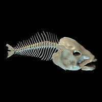Fishbone