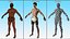 Fighter UFC MMA with Belt Wins Animated Fur Rigged