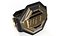 Fighter UFC MMA with Belt Wins Animated Fur Rigged