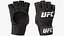 Fighter UFC MMA with Belt Wins Animated Fur Rigged