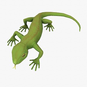Lizard Rigging 3D model