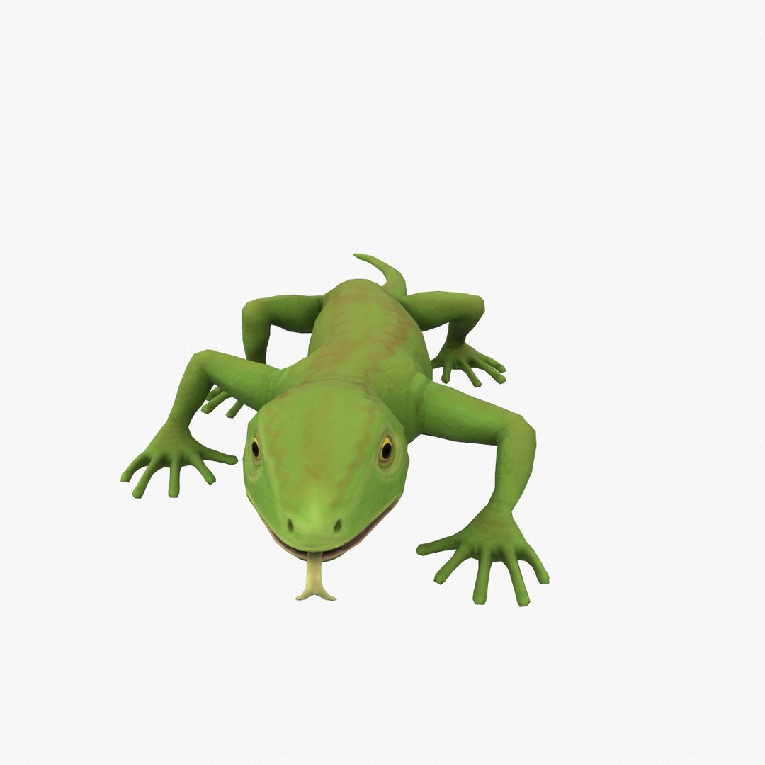 Lizard Rigging 3D Model - TurboSquid 1853588