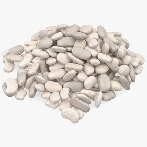 3D white pea bean pile model