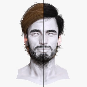 Combed Hair with Textured Beard - Realistic 3D Male Hair model