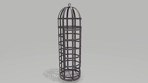 Metal Cage 1
