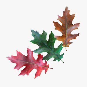 3D Three autumn leaves