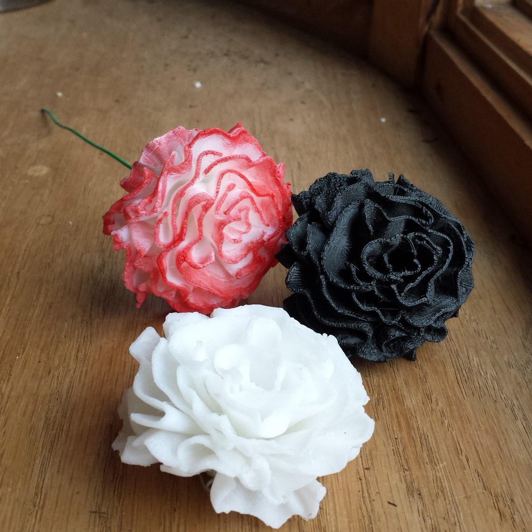 Carnation Blossom Printing 3d Max Carnation Blossom Printing 3d Max