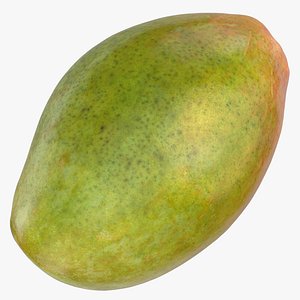Mango 05