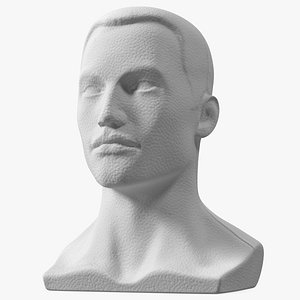 Styrofoam Male Mannequin Head with Hair
