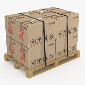 Pallet with Cardboard Box Small