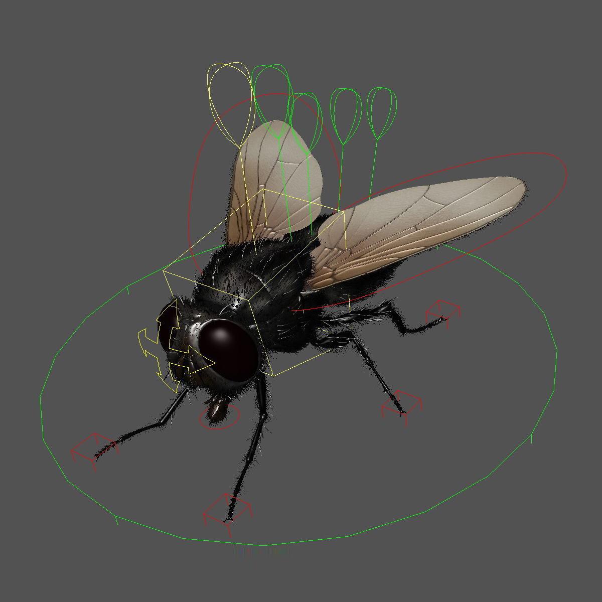 maya housefly animation