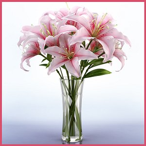 Lily in vase