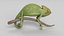 Chameleon 3D model