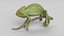 Chameleon 3D model
