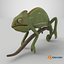 Chameleon 3D model