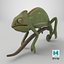 Chameleon 3D model