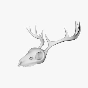 Deer Skull FBX Models for Download | TurboSquid