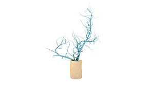 ikebana