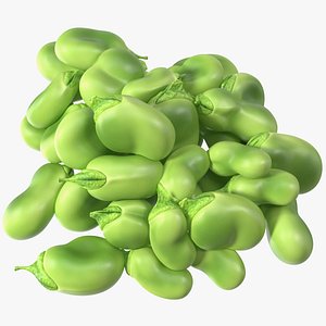 3D Pile of Fresh Broad Beans