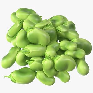 Pile of Fresh Broad Beans