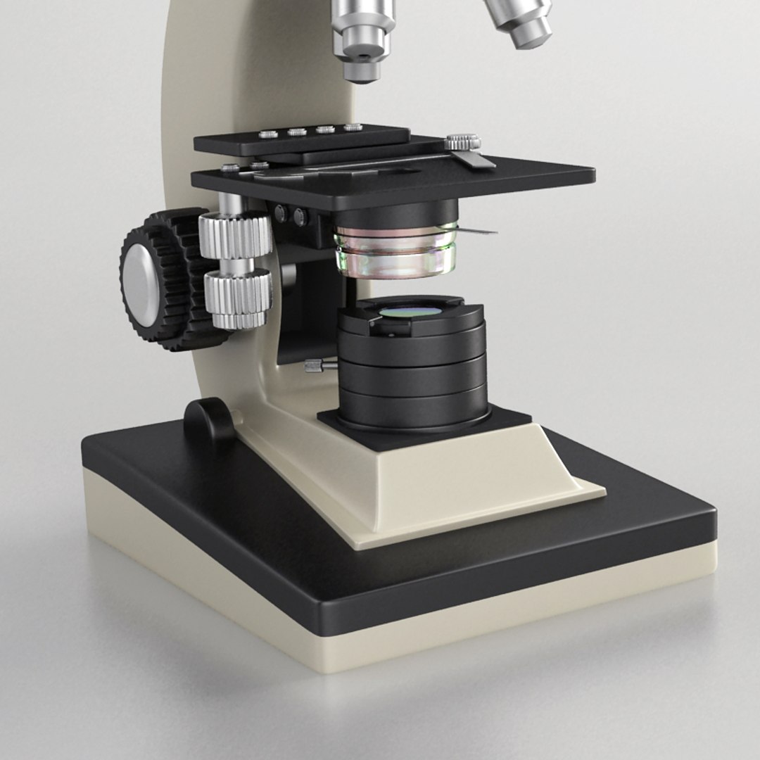 microscope 3d model