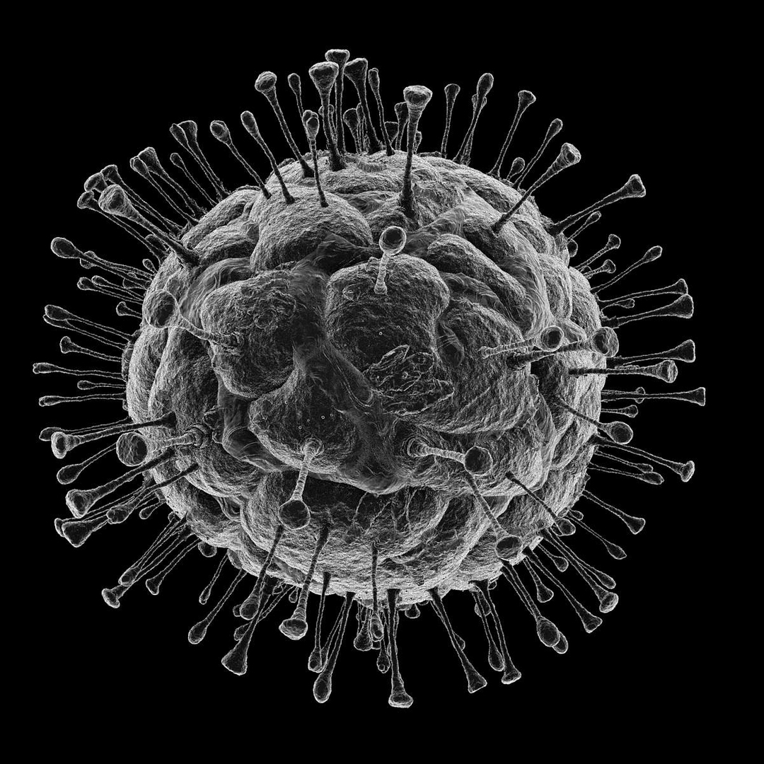 3d flu virus cell