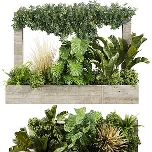 3D model plant vol 849 - garden - leaf - banana