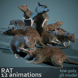 Rat 12-animations Game ready props Low-poly