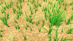 Grass patch