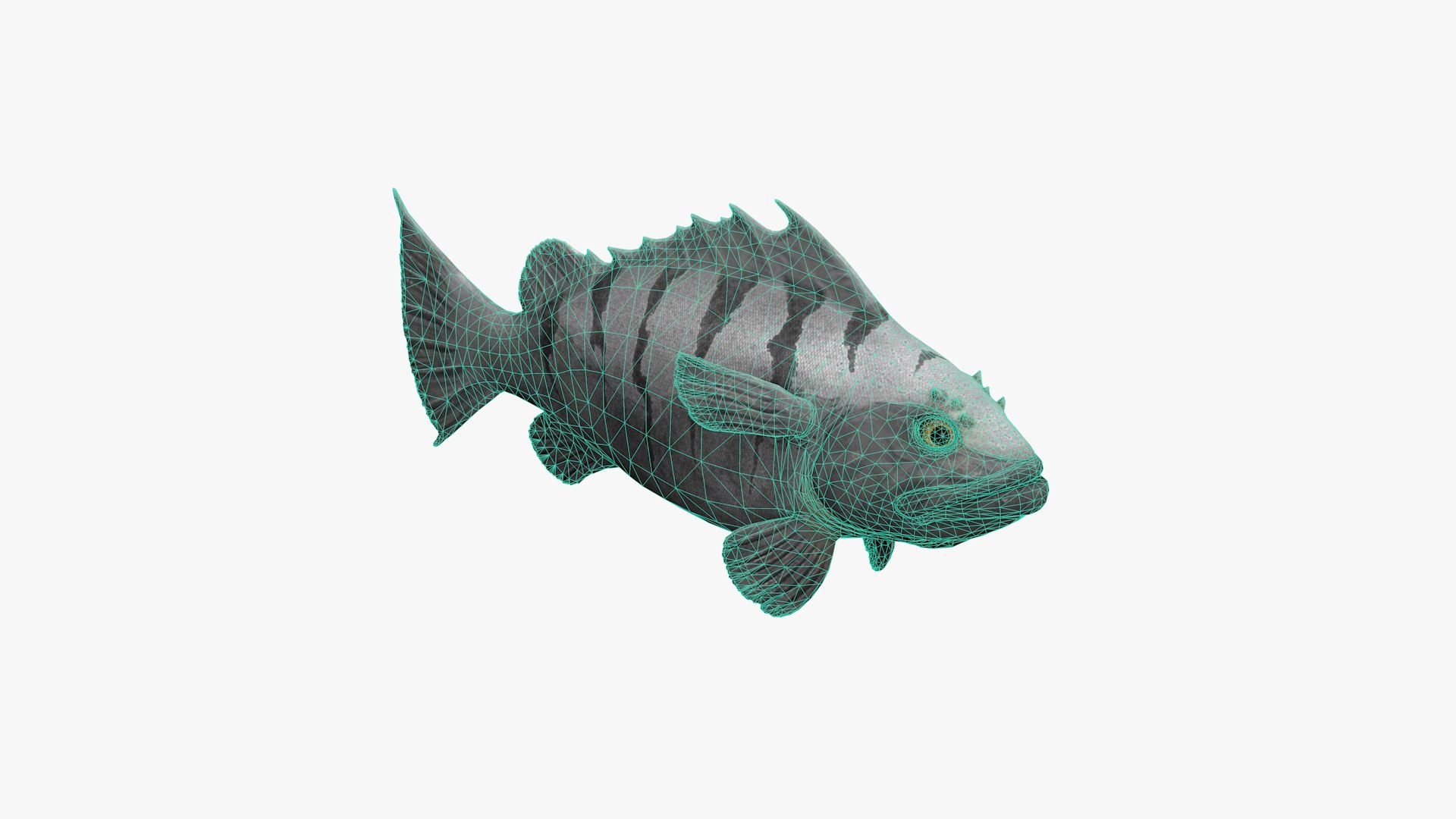 Cod Fish 3D Model - TurboSquid 2369842