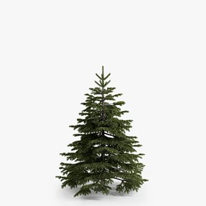 3d fir-tree 02 model