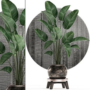 3D tropical plants interior pot
