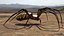 3D model Rigged wasp spider