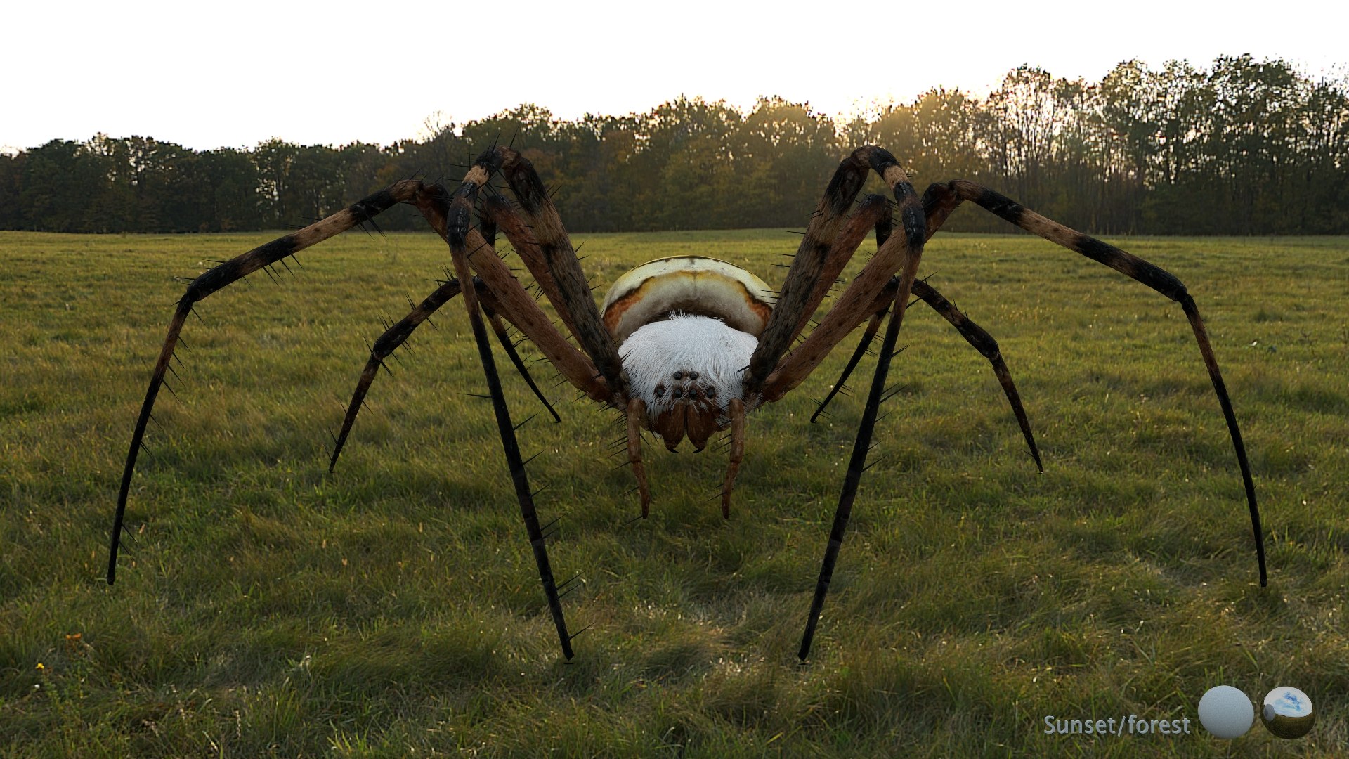 3D model Rigged wasp spider https://p.turbosquid.com/ts-thumb/J6/XV98wA/8Y/002/jpg/1672993986/1920x1080/fit_q87/121ef5091421e68e8902fd0083e76e93e1497184/002.jpg
