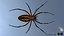 3D model Rigged wasp spider