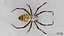 3D model Rigged wasp spider