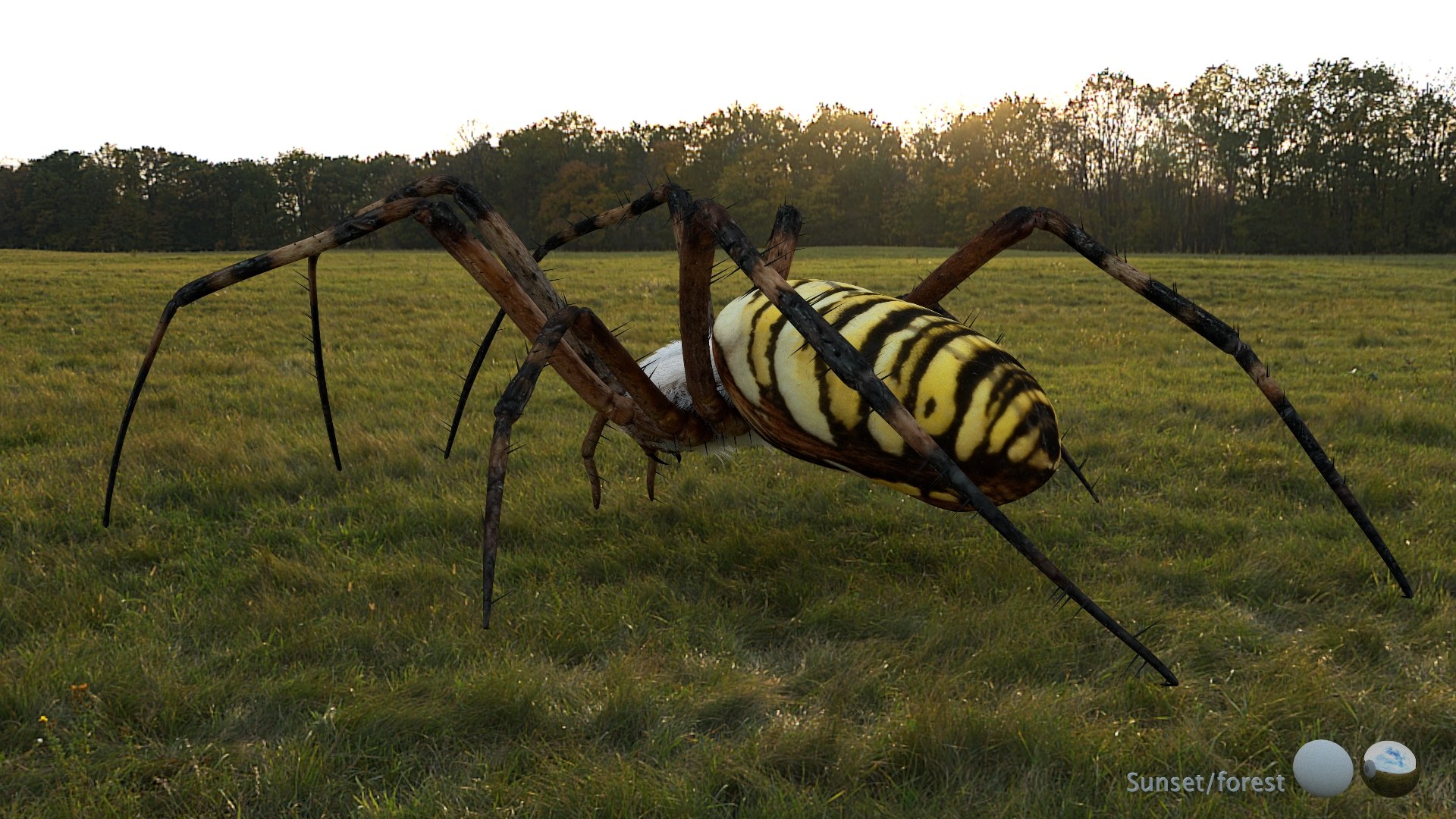 3D model Rigged wasp spider https://p.turbosquid.com/ts-thumb/J6/XV98wA/9V/003/jpg/1672993987/1920x1080/fit_q87/6d38fb2cf3fcb8a89f46c1b22cfd006ac15dc7e3/003.jpg
