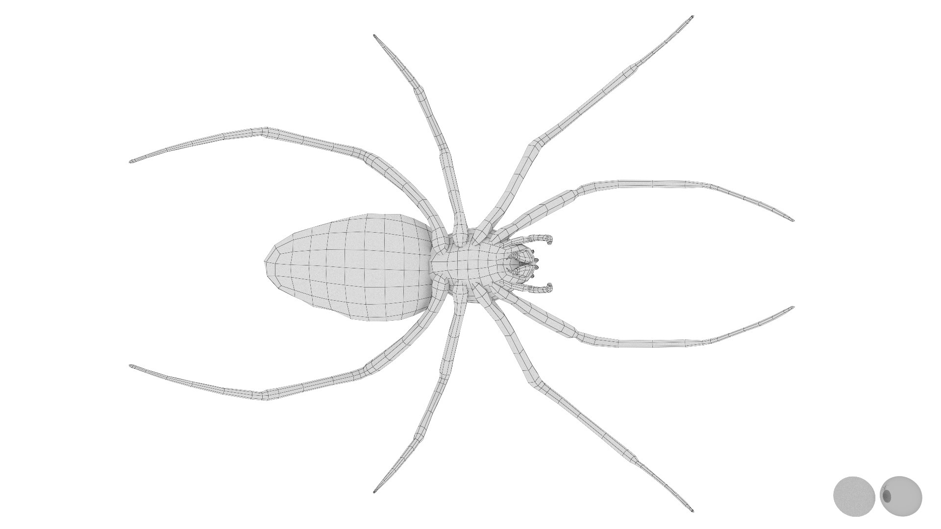 3D model Rigged wasp spider https://p.turbosquid.com/ts-thumb/J6/XV98wA/Dz/027/jpg/1672993983/1920x1080/fit_q87/d5cdea2026c699026f1987d037bcd63059ae3775/027.jpg
